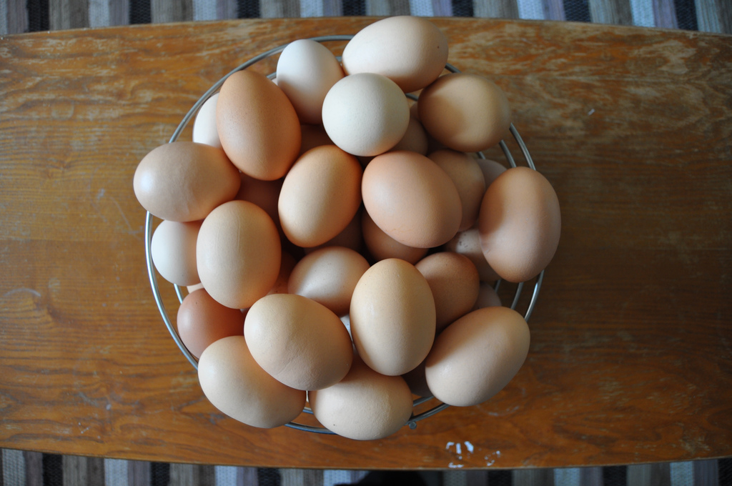 Koja jaja izabrati